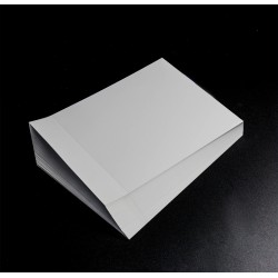 Ramette de 100 feuilles blanches A5 horizontal rainées